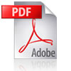 pdf_icon.jpg