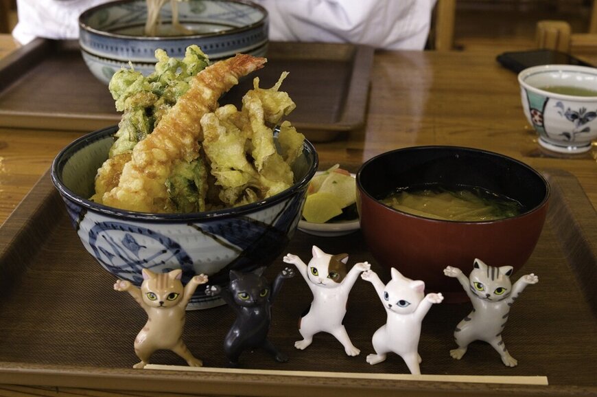 写真9「猫めし。」鵜沼浩信氏m.jpg